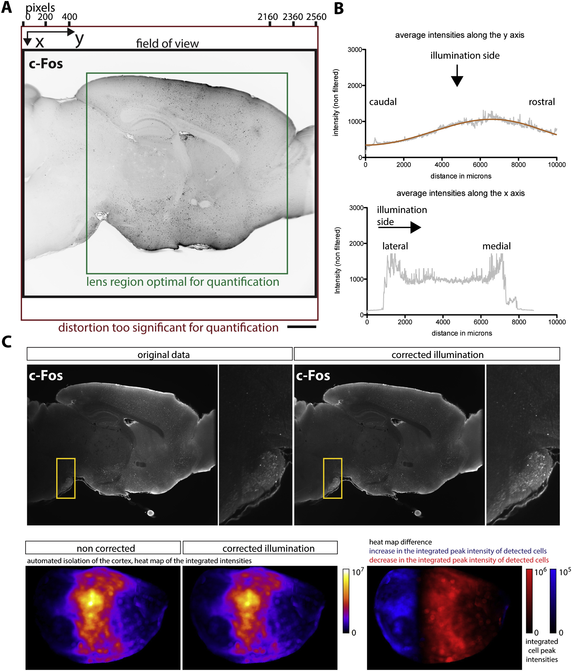 ../_images/CellMap_pipeline_illumination.jpg