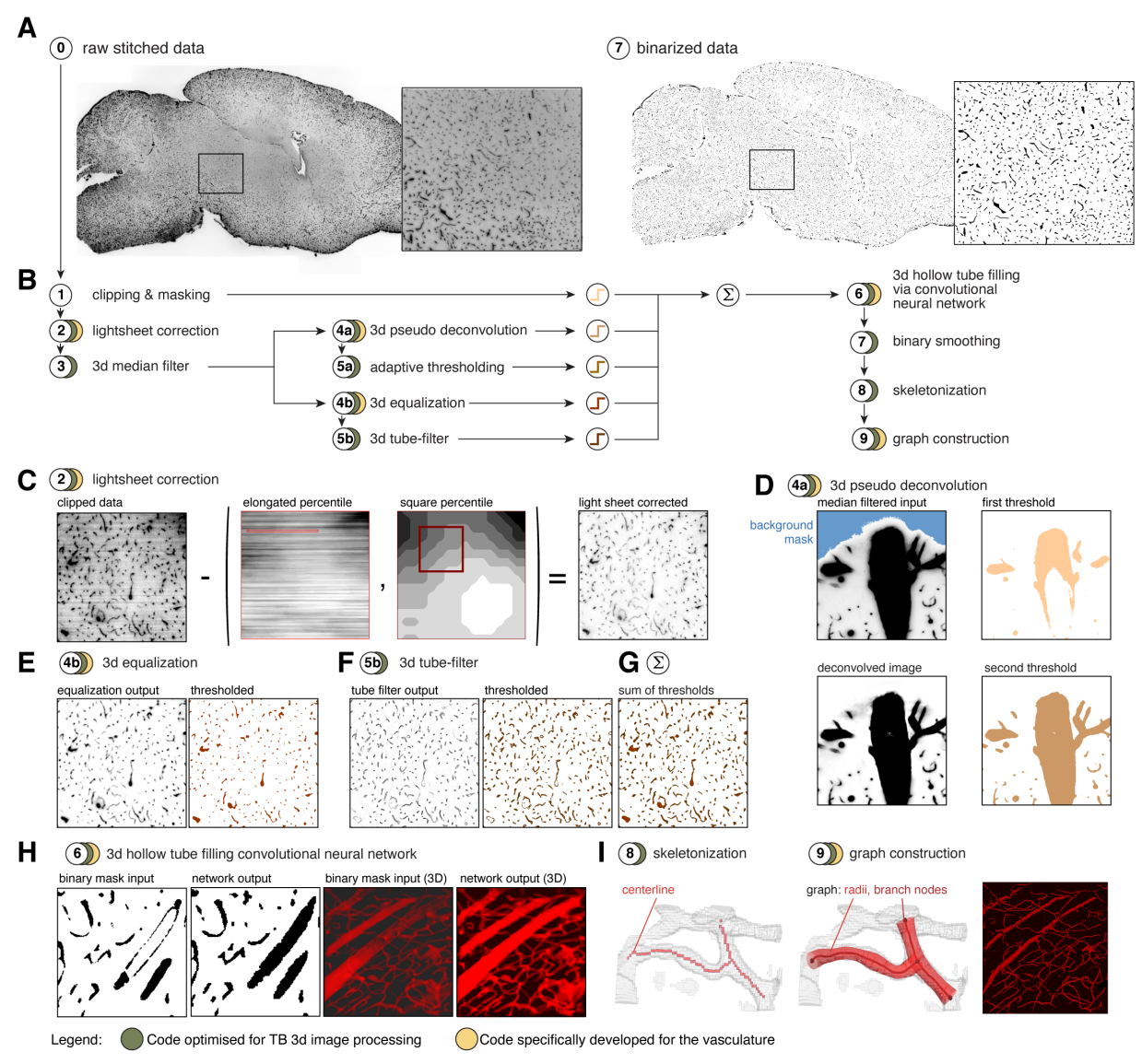 ../_images/TubeMap_pipeline_image_processing.png